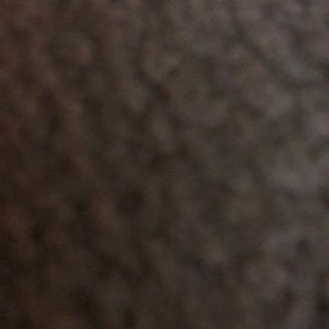 Meet your Posher, Dewayne